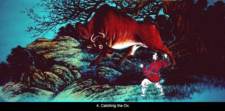 Catching the Ox