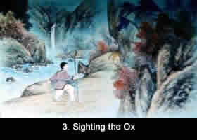 Sighting the Ox